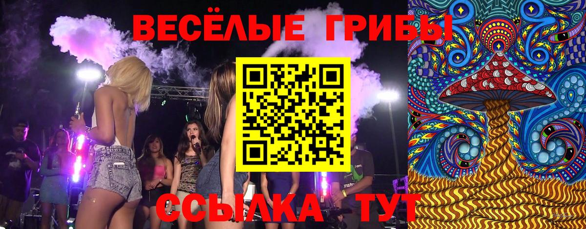 Галлюциногенные грибы Psilocybine cubensis  Вход с VPN  Лесной 