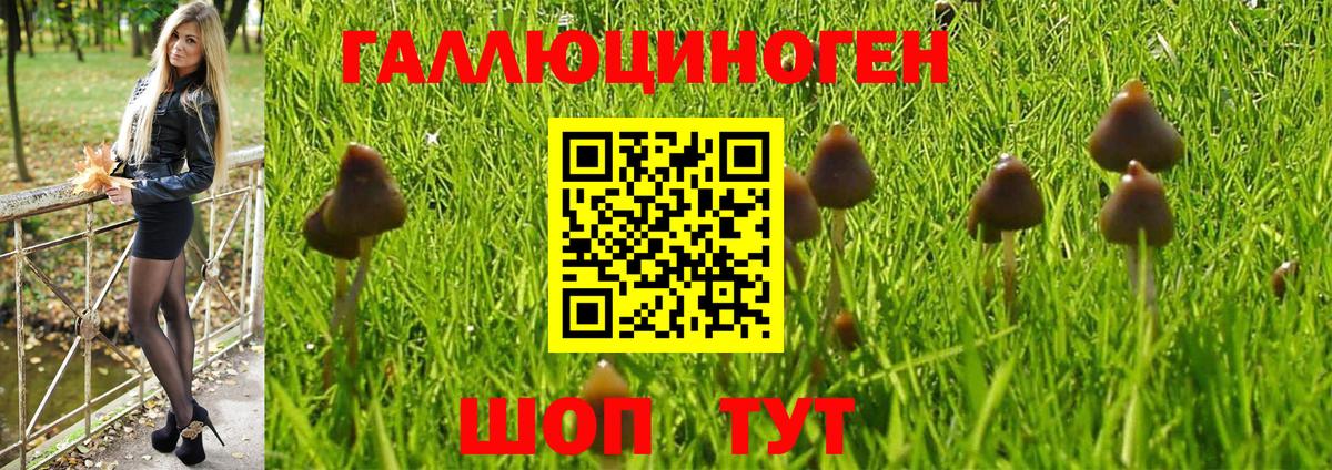 Псилоцибиновые грибы MAGIC MUSHROOMS Лесной